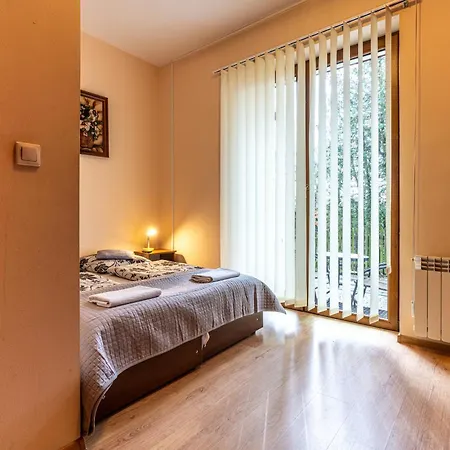 Bed and breakfast Lesny Dworek Biały Dunajec