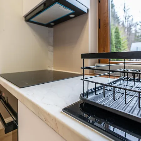 Bed and breakfast Lesny Dworek 3*